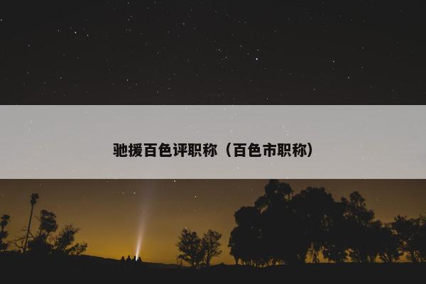 驰援百色评职称（百色市职称）