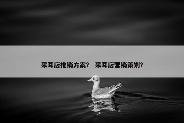 采耳店推销方案？ 采耳店营销策划？