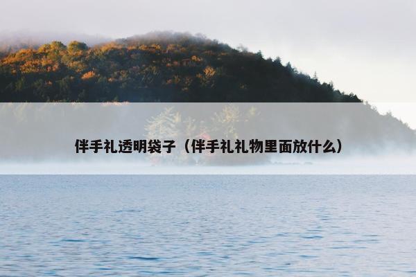 伴手礼透明袋子（伴手礼礼物里面放什么）