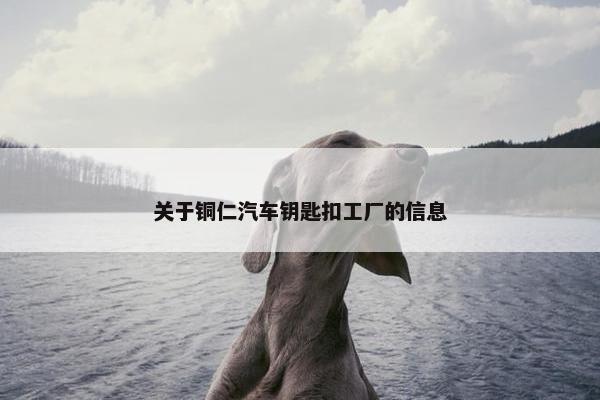 关于铜仁汽车钥匙扣工厂的信息