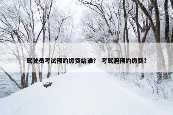 驾驶员考试预约缴费给谁？ 考驾照预约缴费？