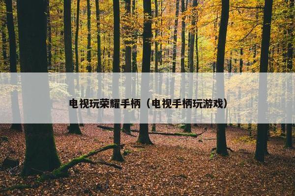 电视玩荣耀手柄（电视手柄玩游戏）