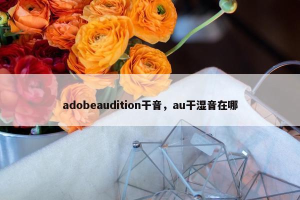adobeaudition干音，au干湿音在哪