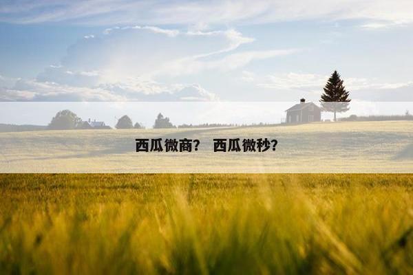西瓜微商？ 西瓜微秒？