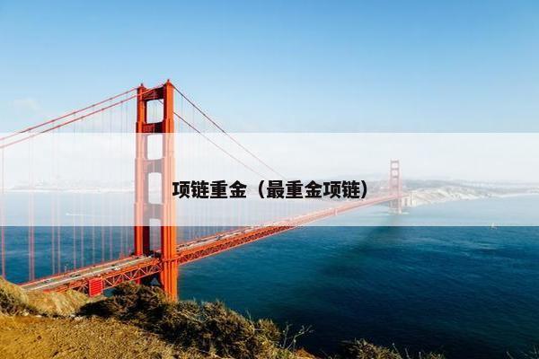 项链重金（最重金项链）