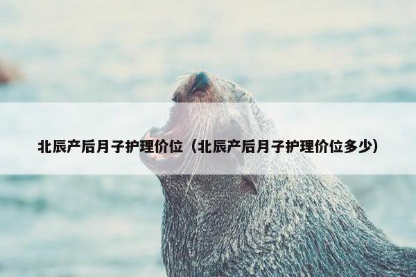 北辰产后月子护理价位（北辰产后月子护理价位多少）