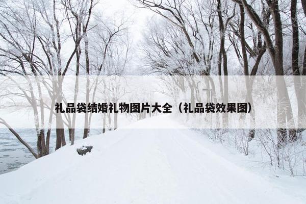 礼品袋结婚礼物图片大全（礼品袋效果图）