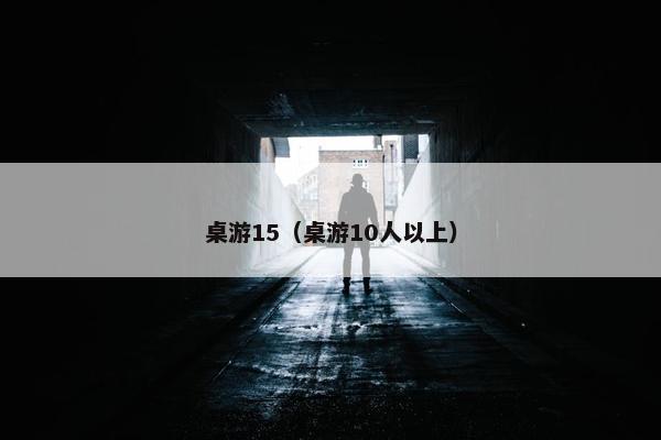 桌游15（桌游10人以上）