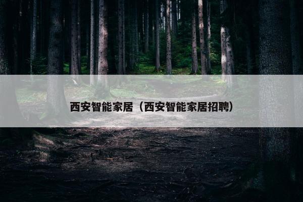 西安智能家居（西安智能家居招聘）
