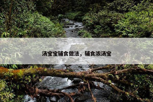 汤宝宝辅食做法，辅食浓汤宝