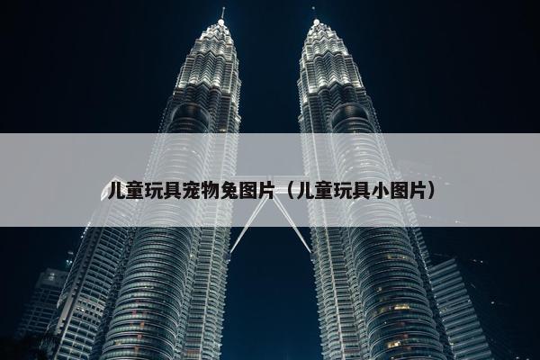 儿童玩具宠物兔图片（儿童玩具小图片）