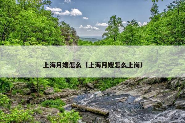 上海月嫂怎么（上海月嫂怎么上岗）