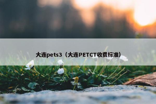 大连pets3（大连PETCT收费标准）