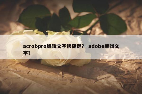 acrobpro编辑文字快捷键？ adobe编辑文字？
