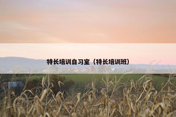 特长培训自习室（特长培训班）