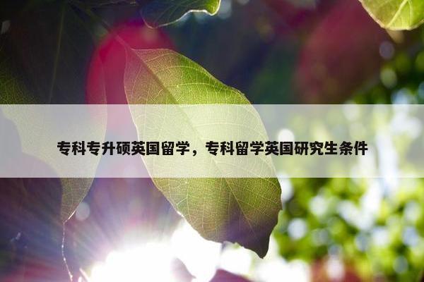 专科专升硕英国留学，专科留学英国研究生条件