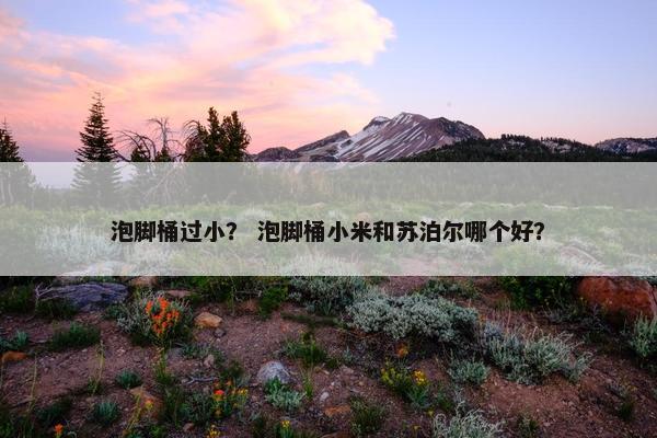 泡脚桶过小？ 泡脚桶小米和苏泊尔哪个好？
