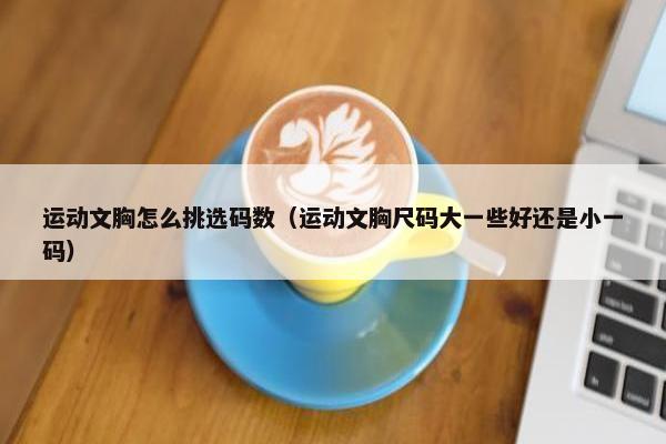运动文胸怎么挑选码数（运动文胸尺码大一些好还是小一码）