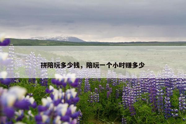 拼陪玩多少钱，陪玩一个小时赚多少