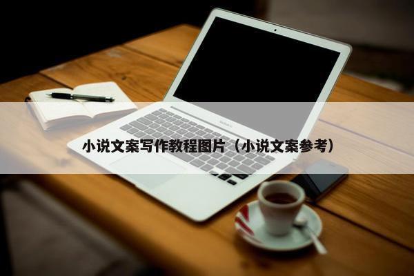 小说文案写作教程图片（小说文案参考）