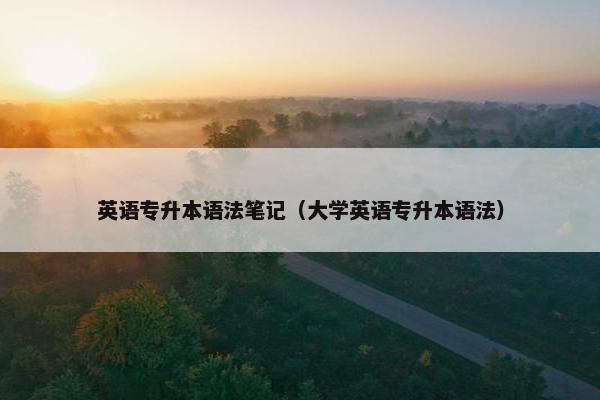英语专升本语法笔记（大学英语专升本语法）