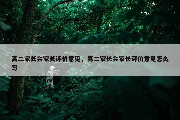 高二家长会家长评价意见，高二家长会家长评价意见怎么写