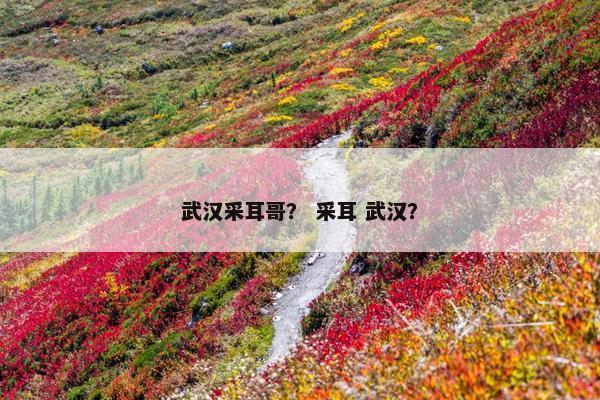 武汉采耳哥？ 采耳 武汉？