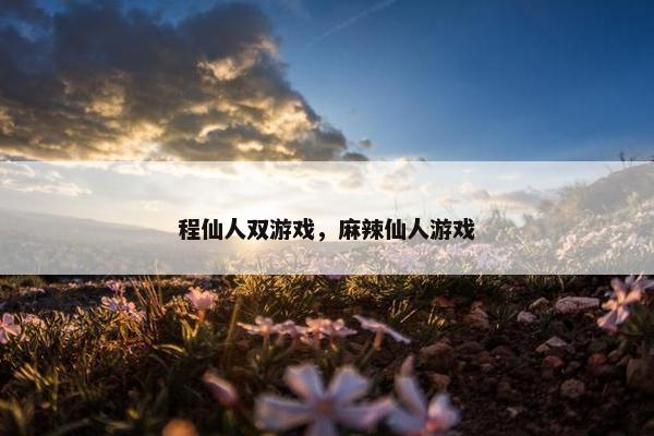 程仙人双游戏，麻辣仙人游戏