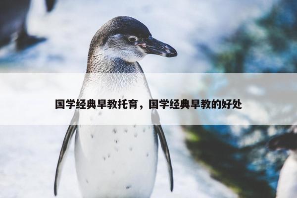 国学经典早教托育，国学经典早教的好处