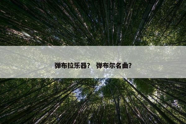 弹布拉乐器？ 弹布尔名曲？