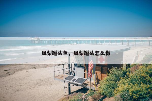 凤梨罐头鱼，凤梨罐头怎么做