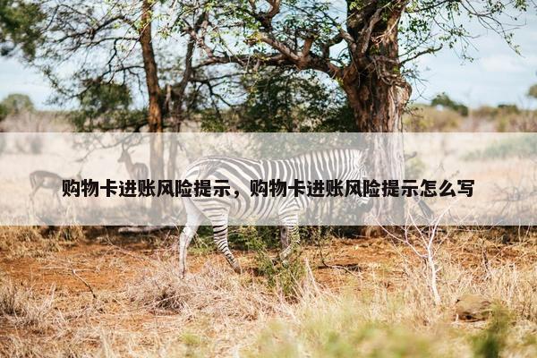 购物卡进账风险提示，购物卡进账风险提示怎么写