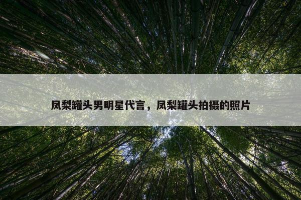 凤梨罐头男明星代言，凤梨罐头拍摄的照片