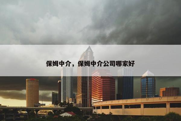 保姆中介，保姆中介公司哪家好