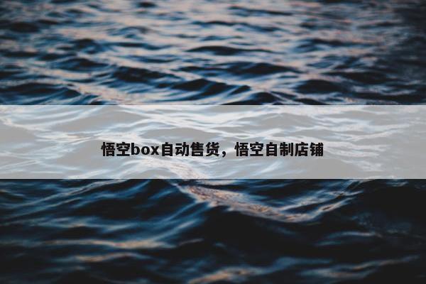 悟空box自动售货，悟空自制店铺