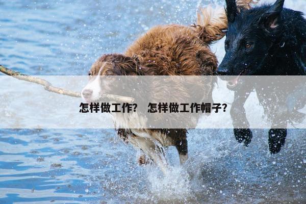 怎样做工作？ 怎样做工作帽子？