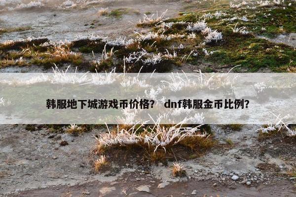 韩服地下城游戏币价格？ dnf韩服金币比例？