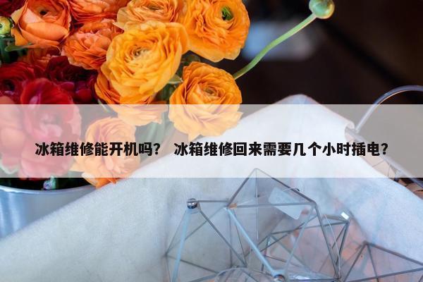冰箱维修能开机吗？ 冰箱维修回来需要几个小时插电？