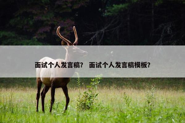 面试个人发言稿？ 面试个人发言稿模板？