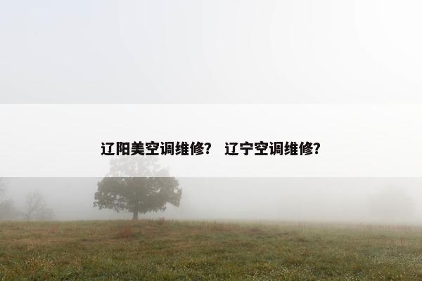 辽阳美空调维修？ 辽宁空调维修？