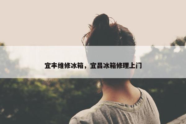 宜丰维修冰箱，宜昌冰箱修理上门