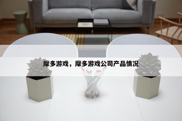 摩多游戏，摩多游戏公司产品情况
