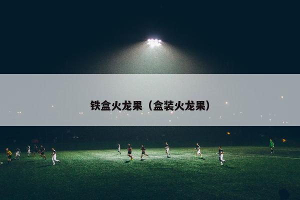 铁盒火龙果（盒装火龙果）