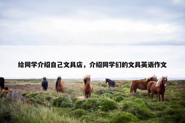 给同学介绍自己文具店，介绍同学们的文具英语作文