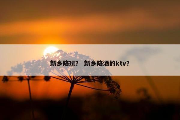 新乡陪玩？ 新乡陪酒的ktv？