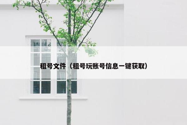 租号文件（租号玩账号信息一键获取）