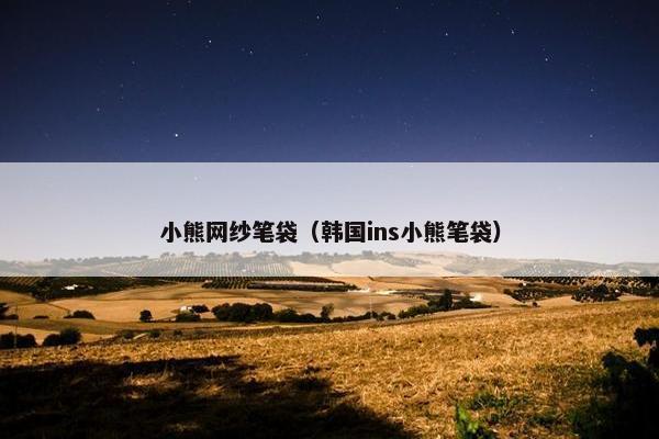 小熊网纱笔袋（韩国ins小熊笔袋）
