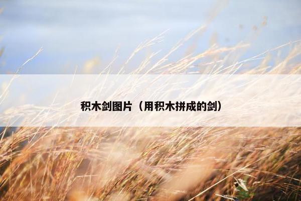 积木剑图片（用积木拼成的剑）