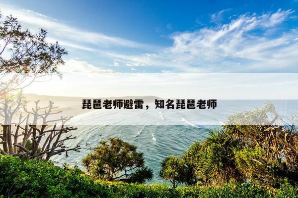 琵琶老师避雷，知名琵琶老师