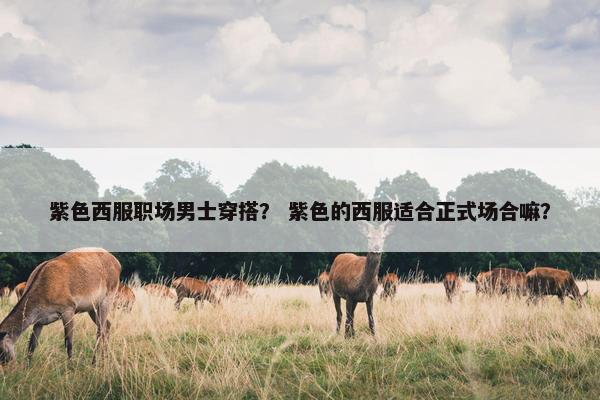 紫色西服职场男士穿搭？ 紫色的西服适合正式场合嘛？